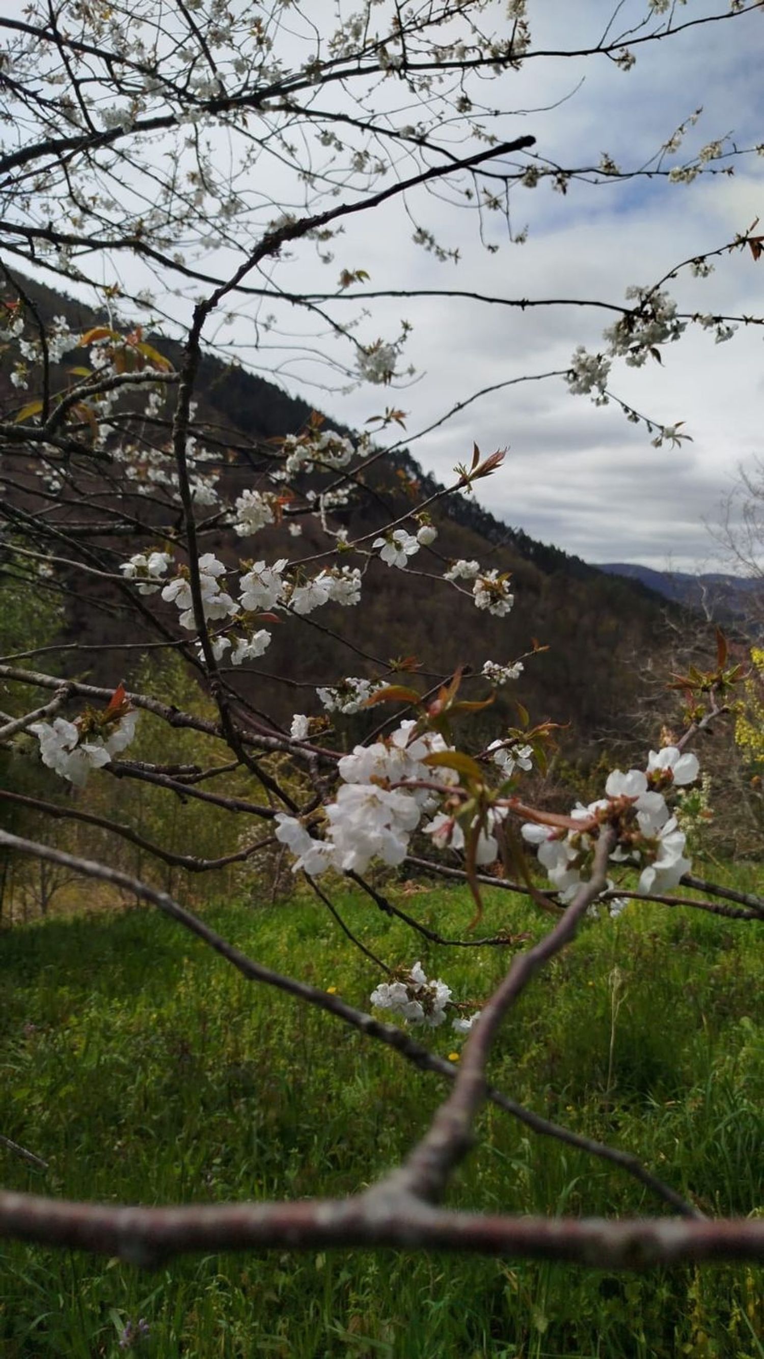 Casa rural en Lugar Vileimil-Pq Vilaboa, 42 D - Foto 13