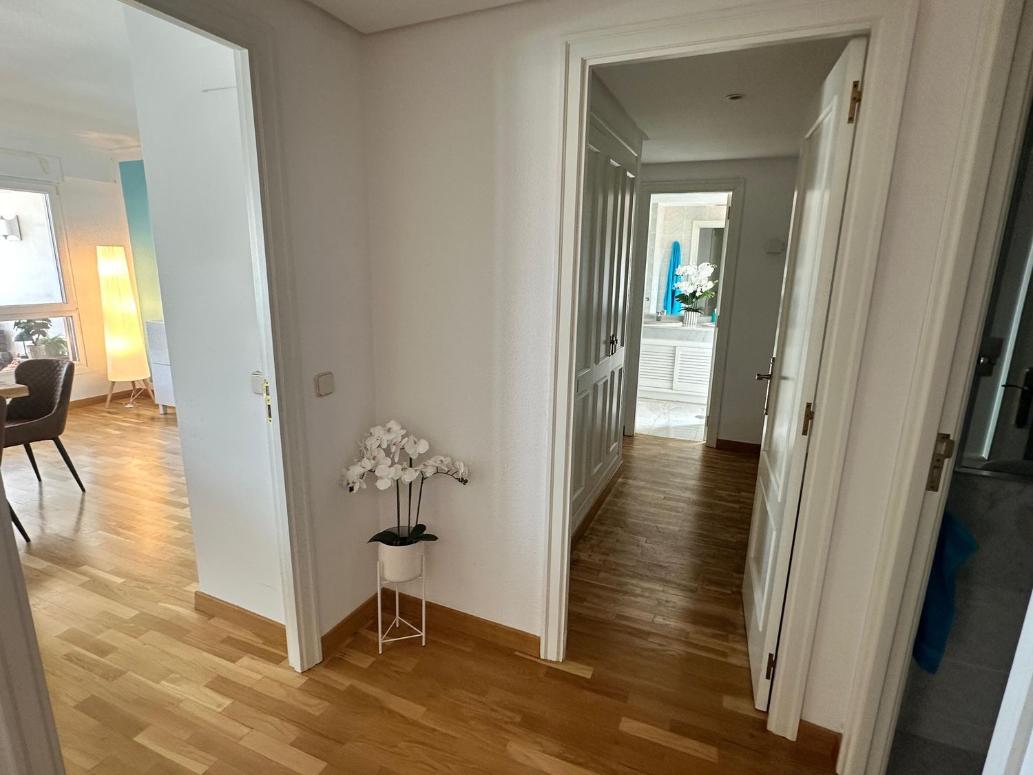 Ático en Avenida de Gabriel Roca, 37, El Terreno - Foto 6