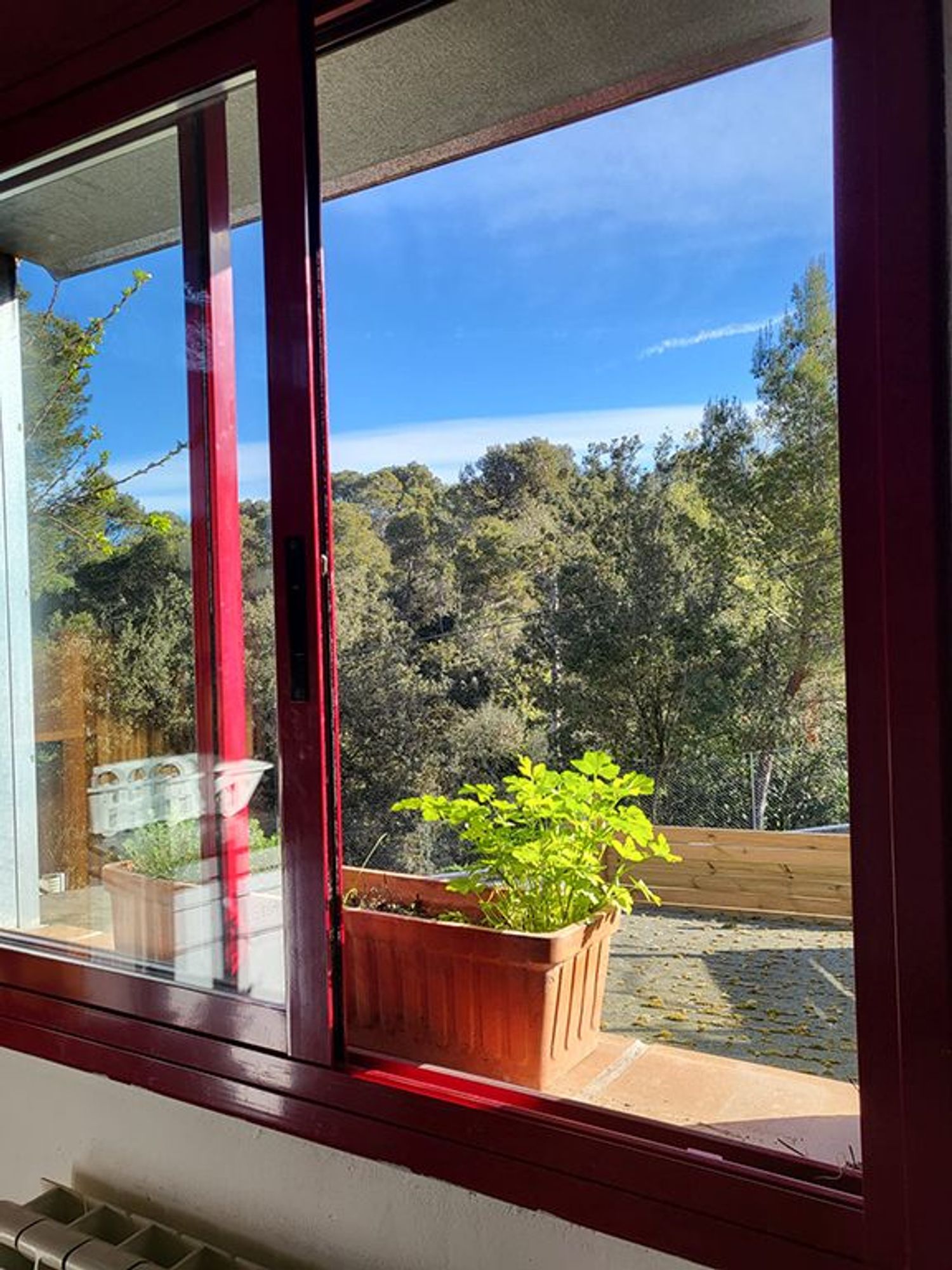 Estudio en La Floresta - Foto 20