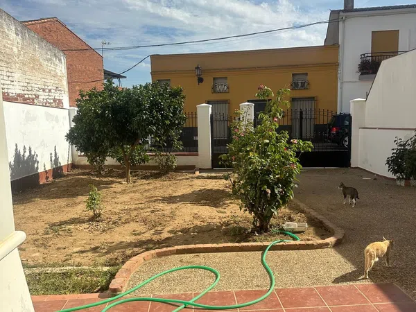 Chalet adosado en Calle Huerto Moral, 3 - Foto 33