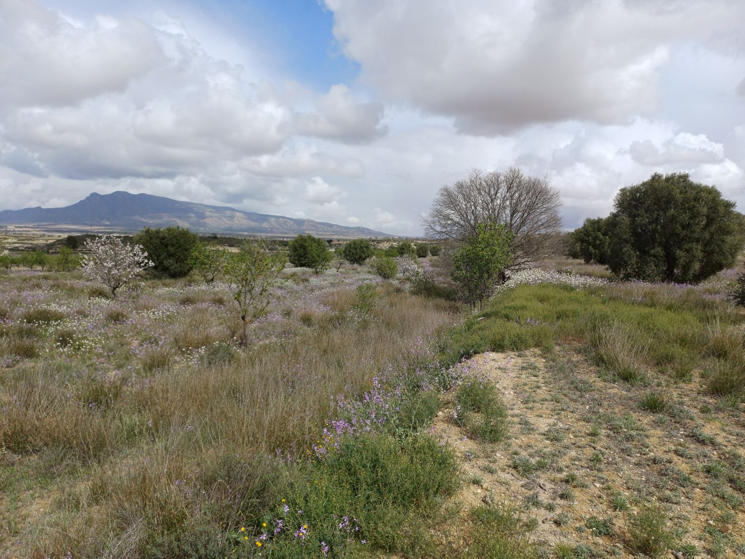 Casa independiente en Sierra de la Pila, 3 - Foto 18