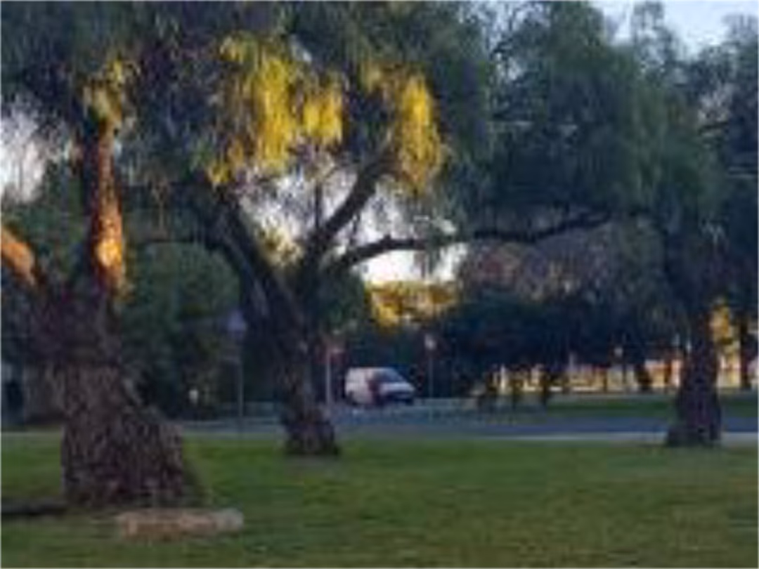 Apartamento en  Calle Eufrates 3 - Foto 16