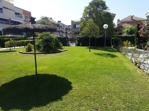 Piso en Calle Picasso, 4, Somosaguas - Foto 1