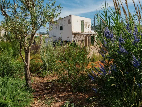 Casa rural en Camino ses Feixes, 46, Marina Botafoc - Talamanca, Marina Botafoc - Talamanca - Foto 34