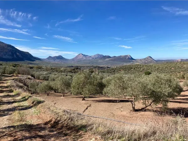 Cortijo en Cortijo Los Arenales, 1, 9 PolgonoParcela - Foto 1