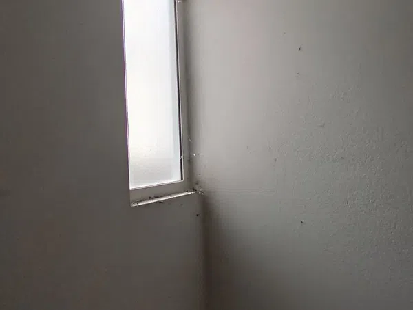 Casa terrera en Covelo, 25 - Foto 18