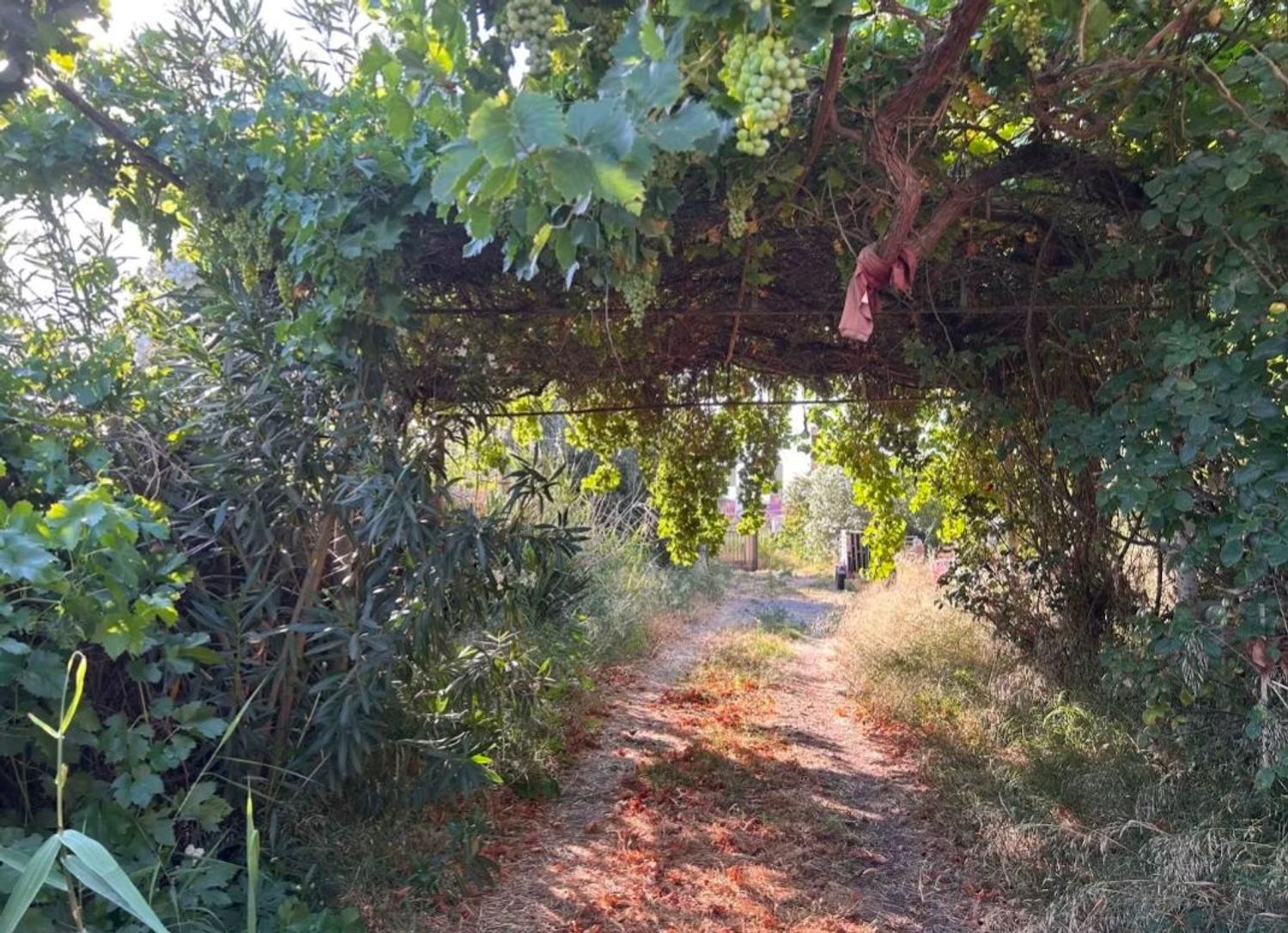 Finca rústica en Polígono 1, 3 - Foto 2
