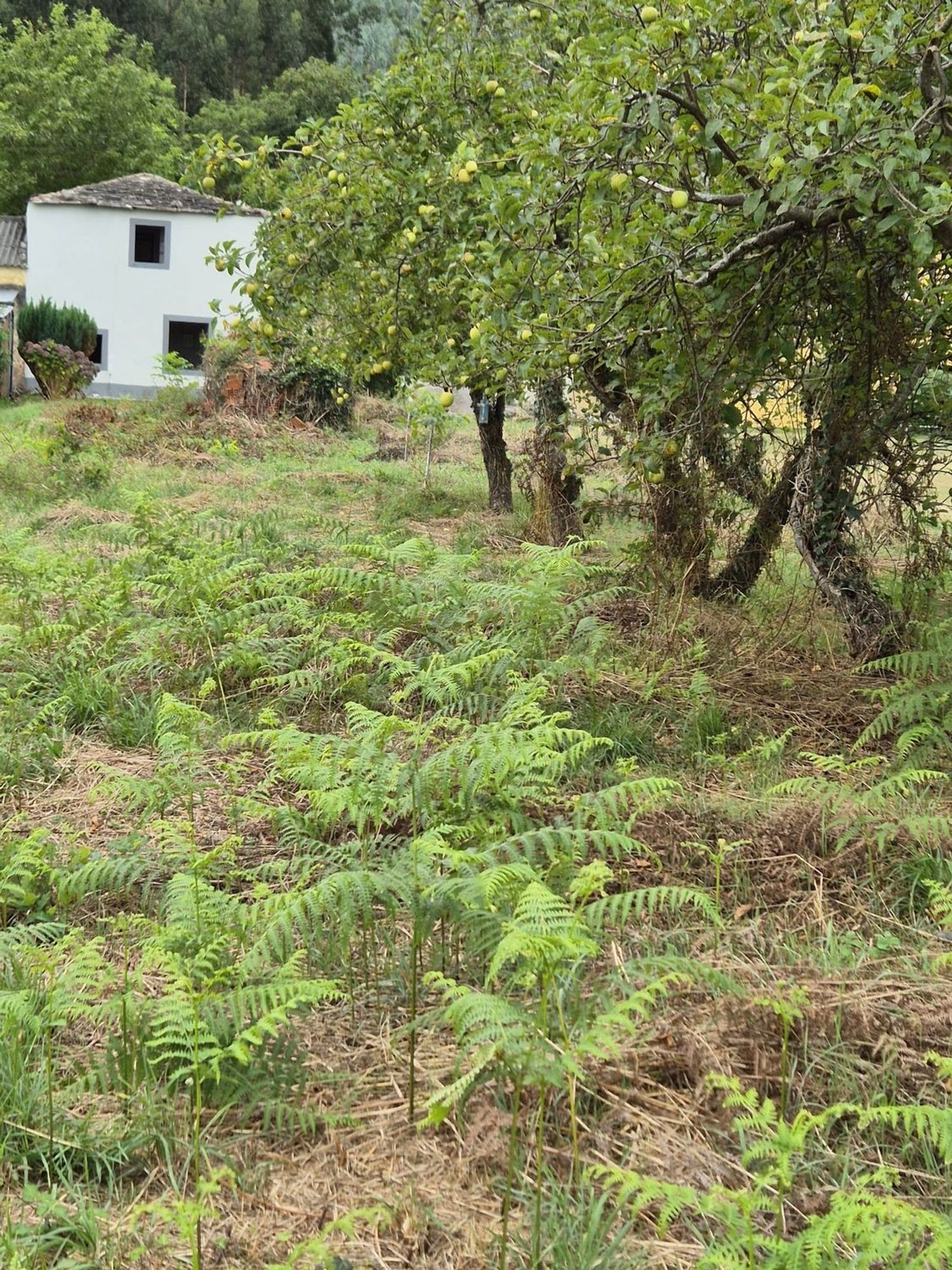 Casa rural en Lugar Pombal, 6 - Foto 18