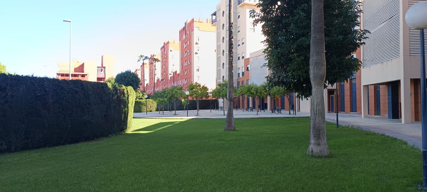 Piso en Calle Alfonso Lasso de la Vega, 21, Tiro de Línea - Foto 9