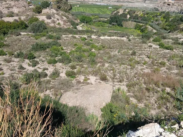 Cortijo en Barriada las Cunas s/n - Foto 9