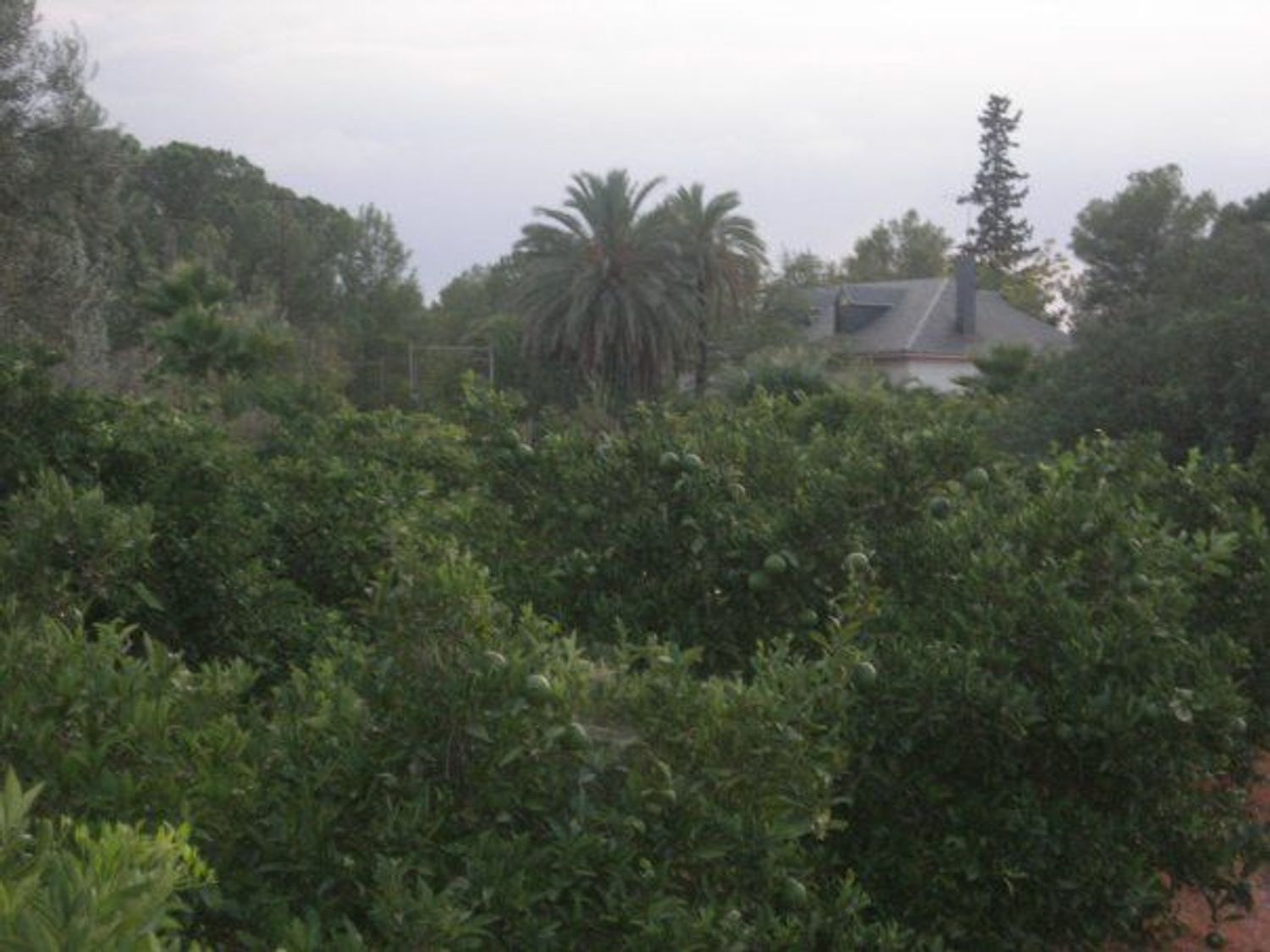 Casa o chalet independiente en Calle Venezuela, 2, Los Pinares-La Masía, Los Pinares-La Masía - Foto 4
