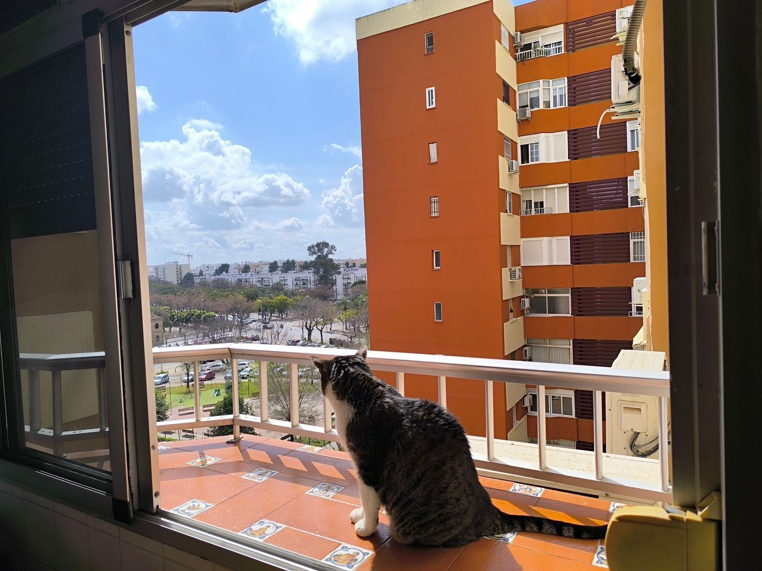 Piso en Barriada de San Diego, 34, Los Carteros - San Diego - Foto 10