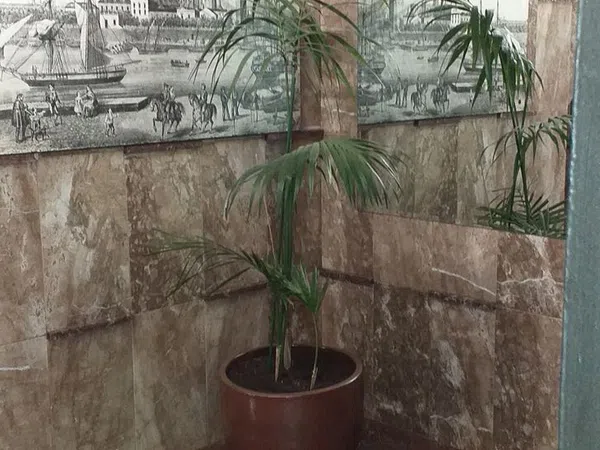 Piso en Calle Claudio Guerín, 11, El Juncal - El Plantinar - Foto 31