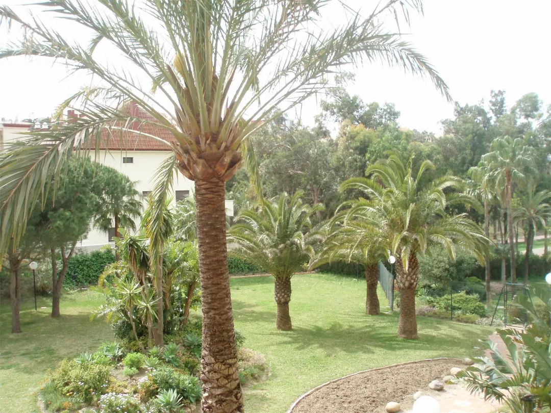 Piso en  Calle Ronda del Golf Este 56 - Foto 8