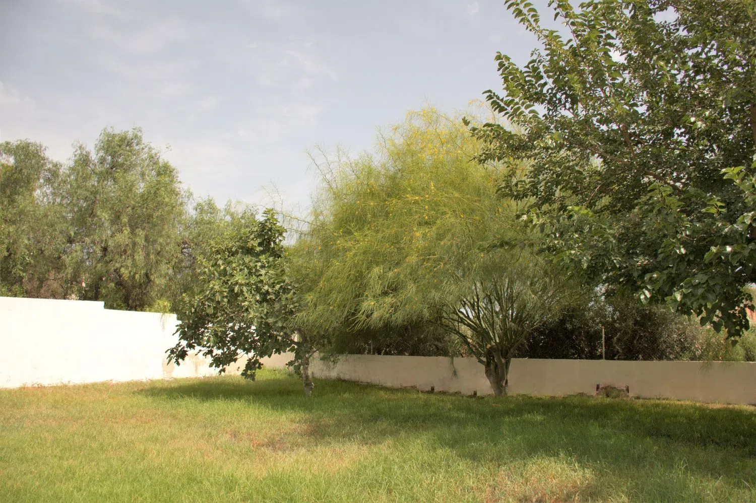 Estudio en Barrio Valle del Sol - El Portel - Foto 13