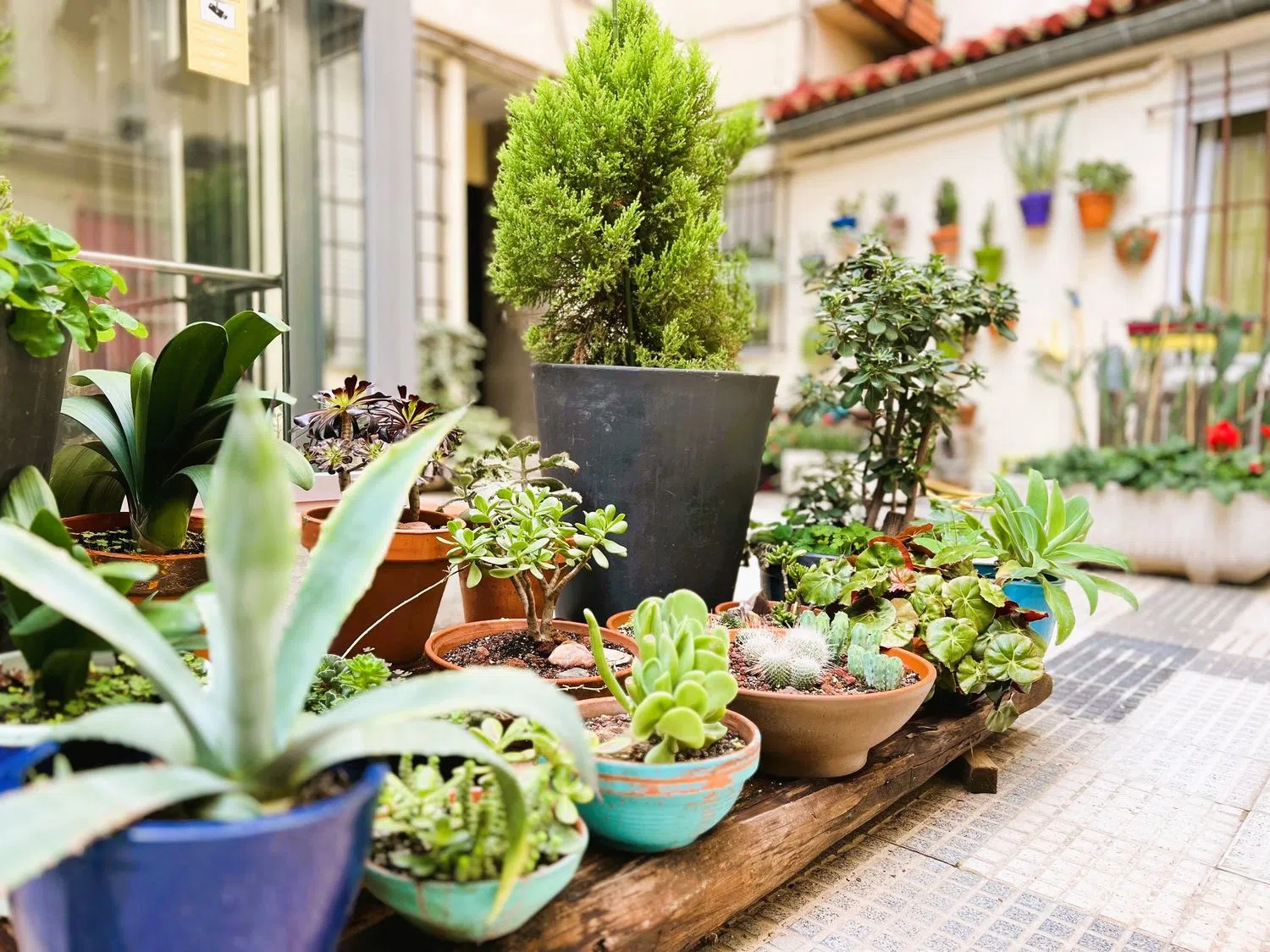 Estudio en Barrio Huertas-Cortes - Foto 2