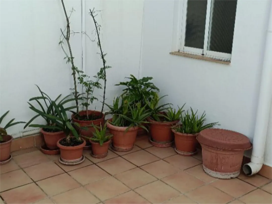 Piso en  Passatge de la Mare de Déu de la Balma 26 - Foto 17