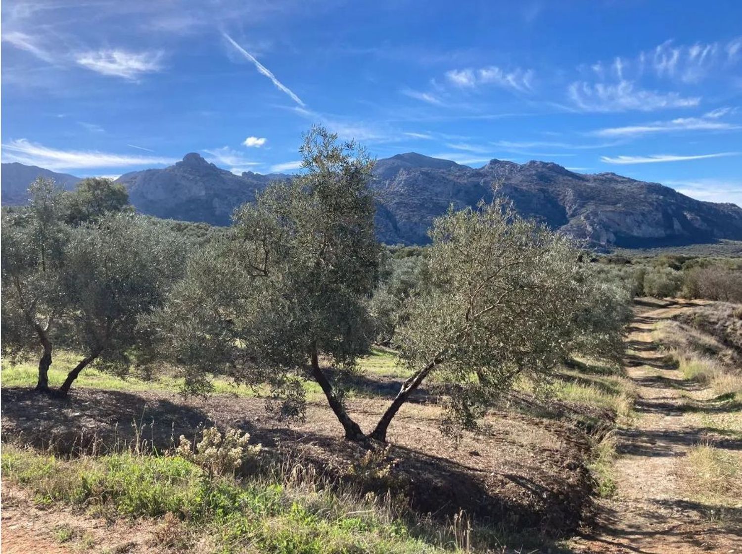 Cortijo en Cortijo Los Arenales, 1, 9 PolgonoParcela - Foto 8