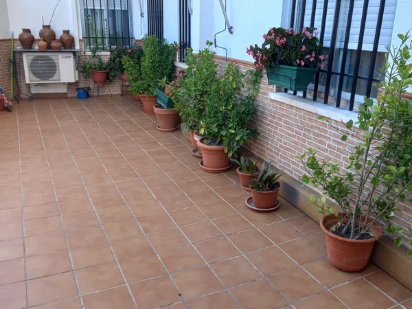 Piso en Calle Barrio de los Judíos, 4 - Foto 6