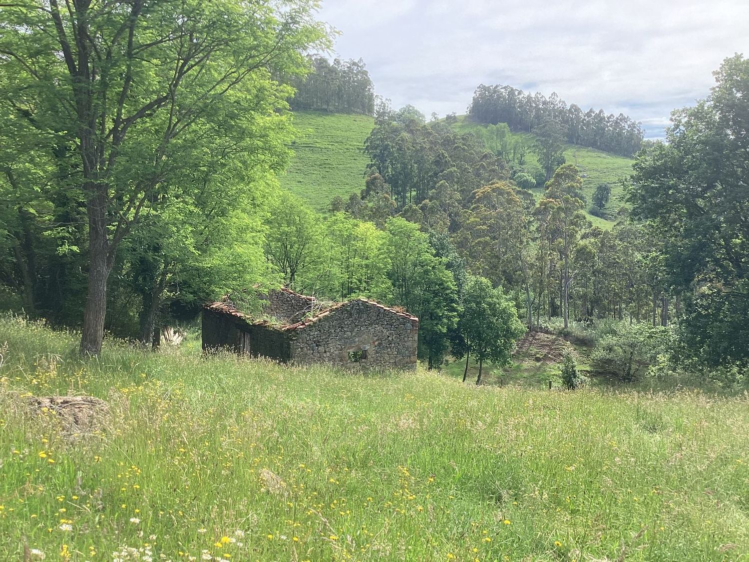 Casa rural en Avenida Alisas, 3 Km - Foto 25