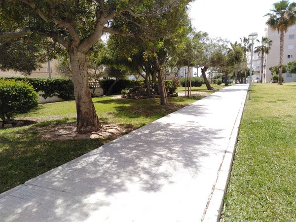 Piso en Calle Músico Agustín Bertomeu, 4, El Palmeral-Urbanova-Tabarca - Foto 16