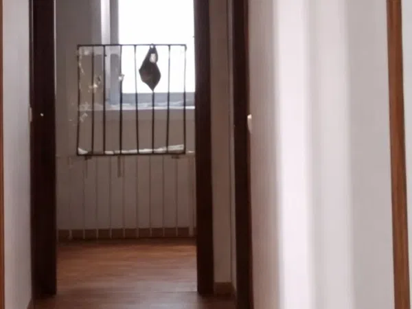 Piso en Calle Cardenal Cisneros, 73, Alto del Castaño, Alto del Castaño - Foto 20