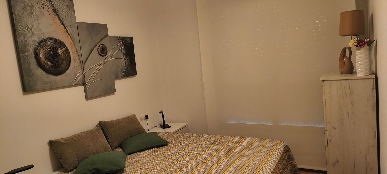 Piso en pintor Sorolla, 8 - Foto 10