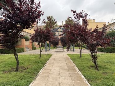 Piso en  Avenida de Grecia 33 - Foto 1