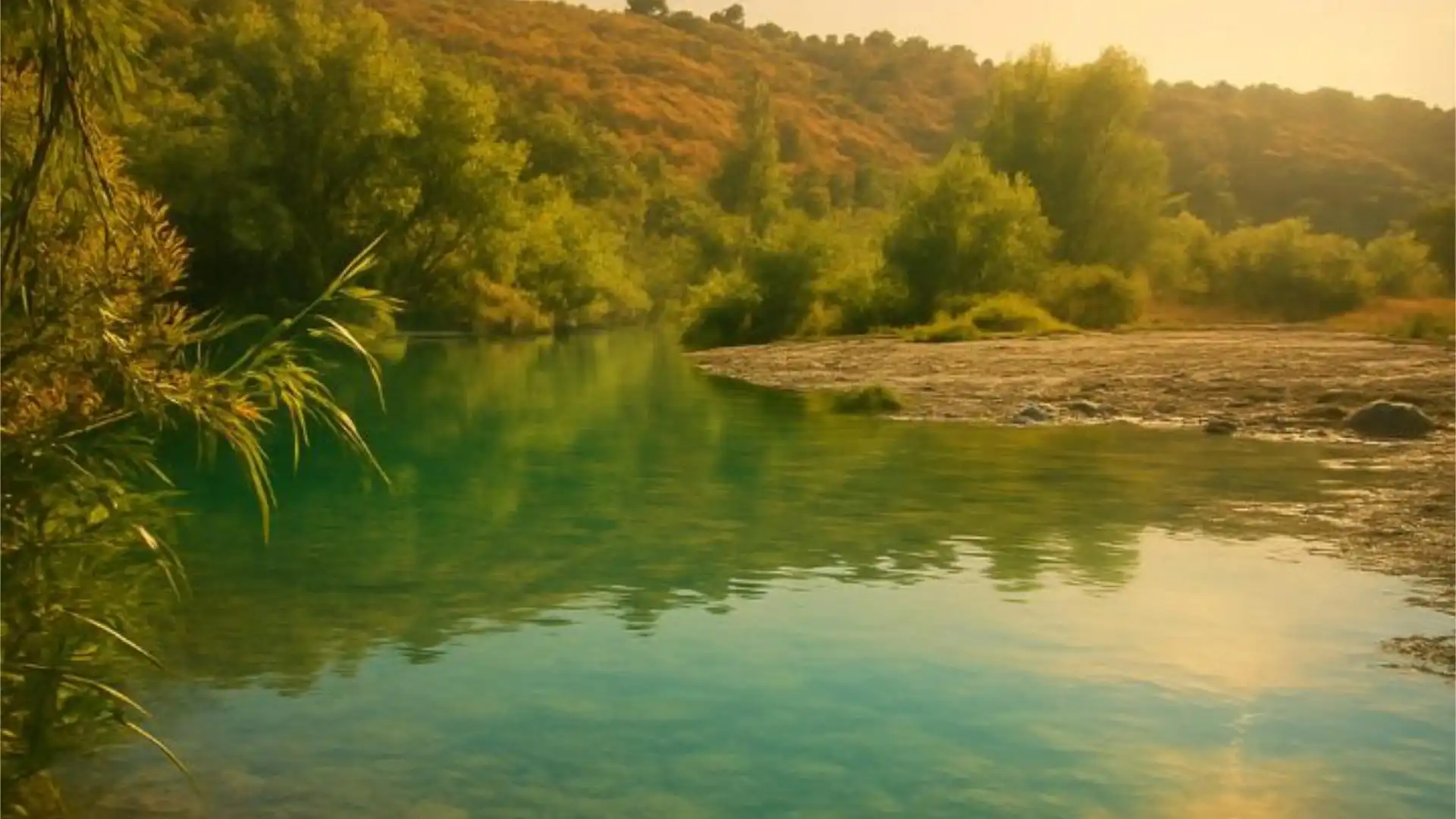 Chalet en  Urbanizacion Parque Botanico las Lomas de Guadalmi 5 - Foto 31