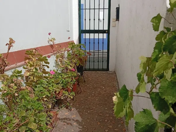 Finca rústica en Calle Galdames, 108, Ayamonte Pueblo, Ayamonte Pueblo - Foto 4