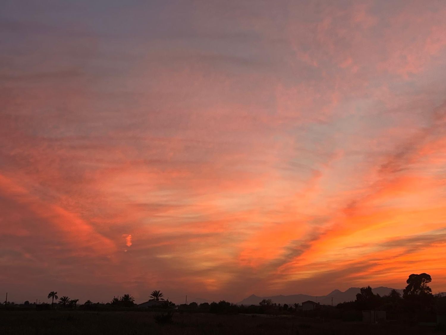 Casa independiente en camino Polígono 1, 26 - Foto 10