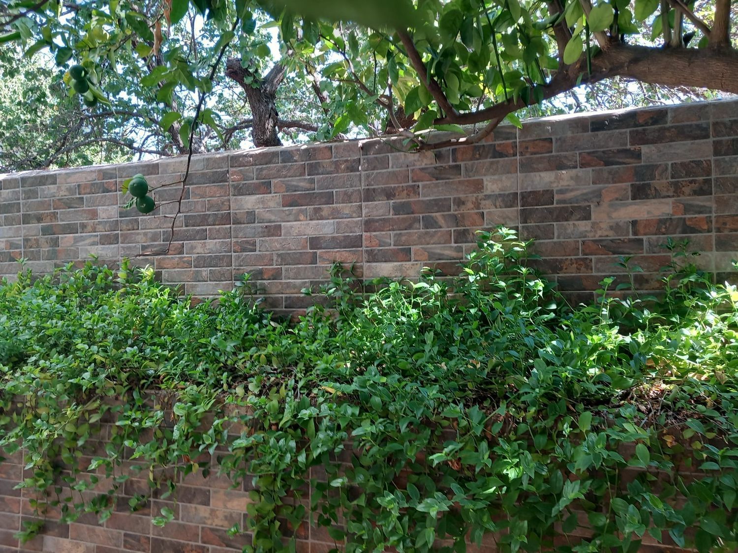 Casa de pueblo en Calle la Jara, 3 - Foto 9