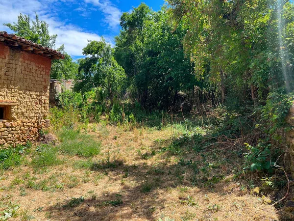 Casa de pueblo en Carretera Almanza, 35 - Foto 4