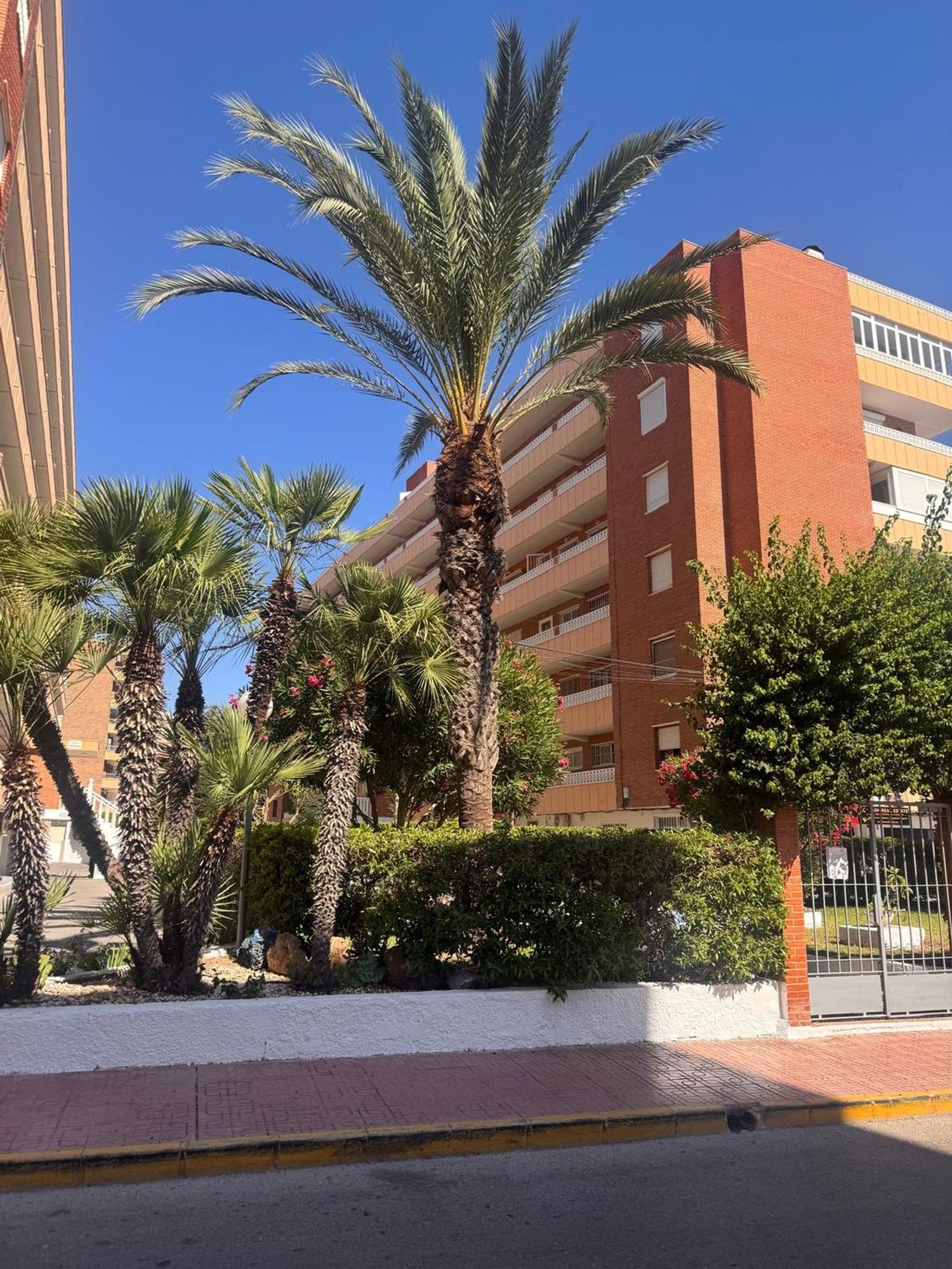 Piso en Calle Rocio, 1, Punta Prima, Punta Prima - Foto 32