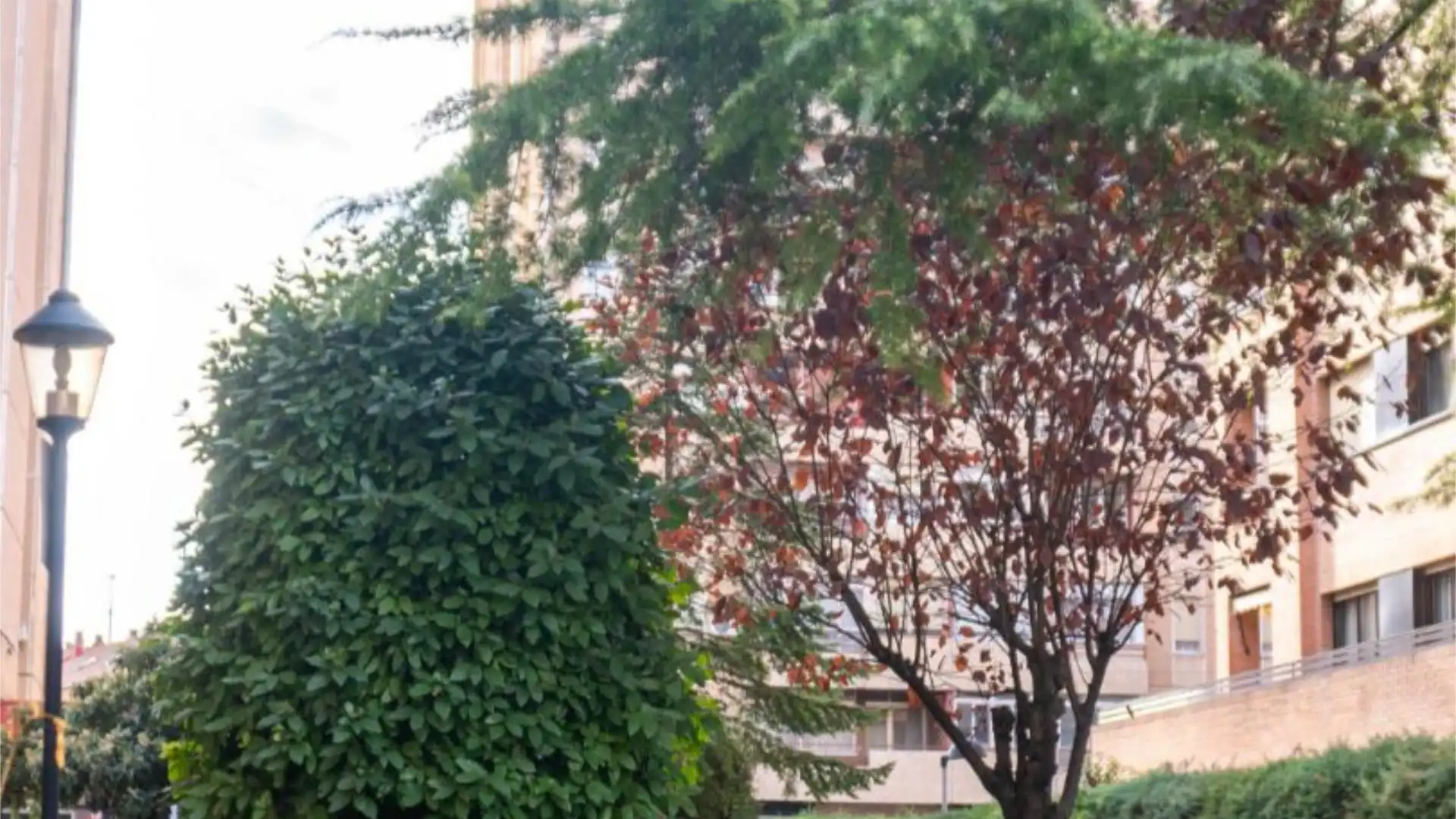 Piso en  Calle de Rufino Blanco 10 - Foto 23