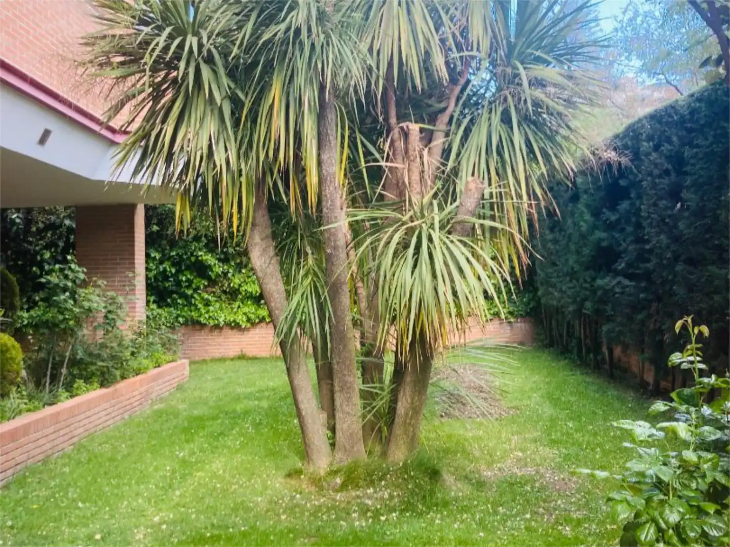 Piso en  Calle de Ramonet 5 - Foto 5