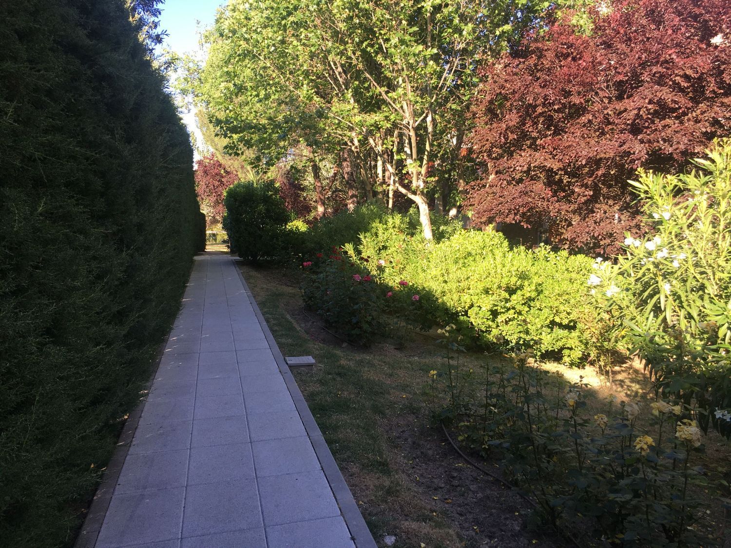 Piso en calle solano, 6 -20 - Foto 6