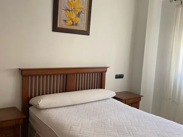 Piso en Calle Navarro Ledesma, 162, El Consul - El Romeral, Málaga - Foto 11