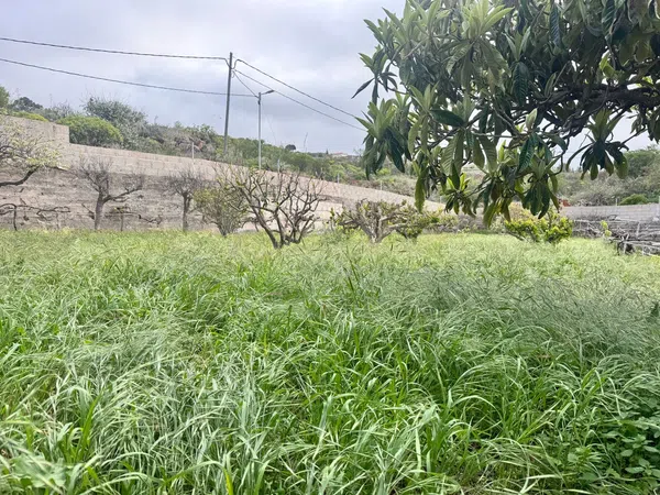 Casa terrera en Calle el Charco Frío, 7 - Foto 23