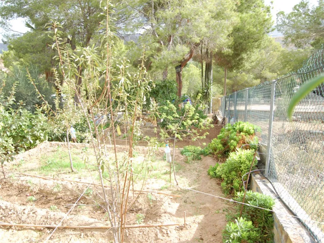 Chalet en  Urbanización la Pinada 37 - Foto 41