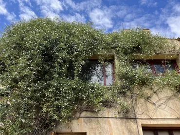 Casa adosada en  Carrer Sant Vicent 6 - Foto 15