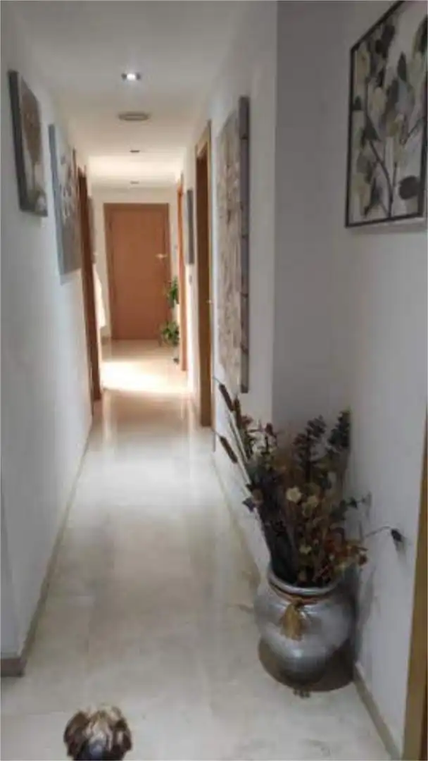 Piso en Zona Colegio Miguel Hernández - Foto 8