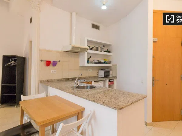 Estudio en Rambla La, El Raval - Foto 5