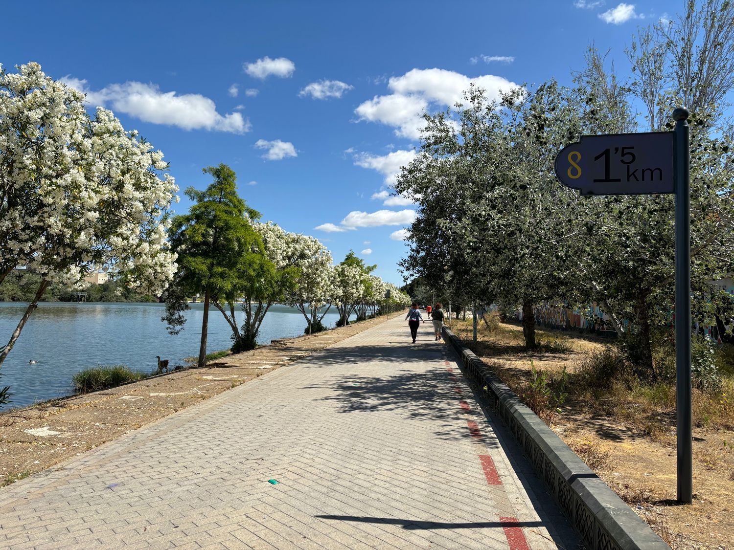 Estudio en calle Torneo, 23 - Foto 20