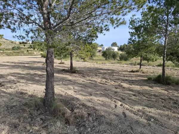 Casa rural en Ptda El Espino s/n - Foto 16