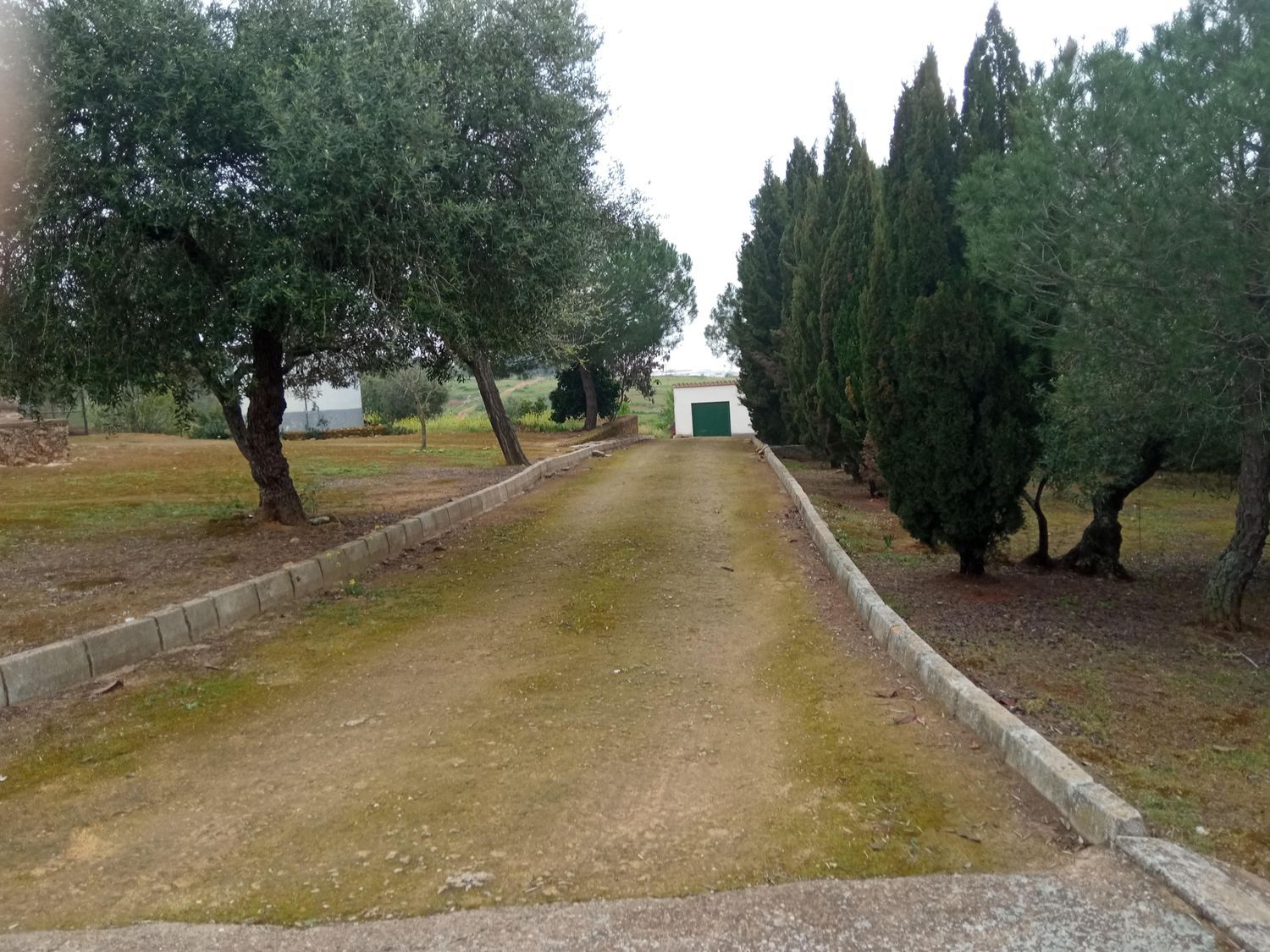 Finca rústica en Callejón del Antiguo Almacén (Prior), 1 - Foto 9