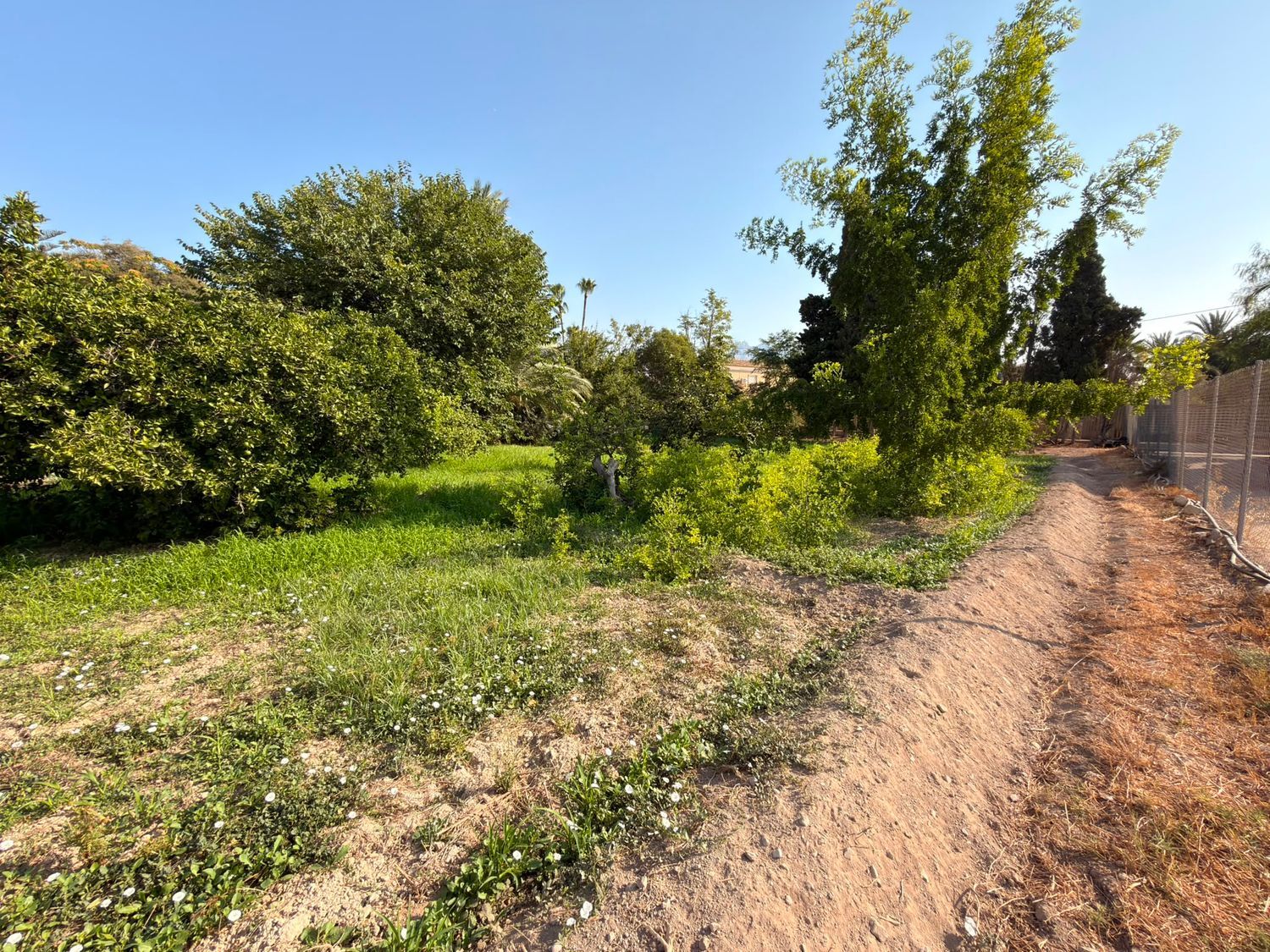 Masía en Masía en El Secanet - Hacienda del Sol, El Secanet - Hacienda del Sol - Foto 21