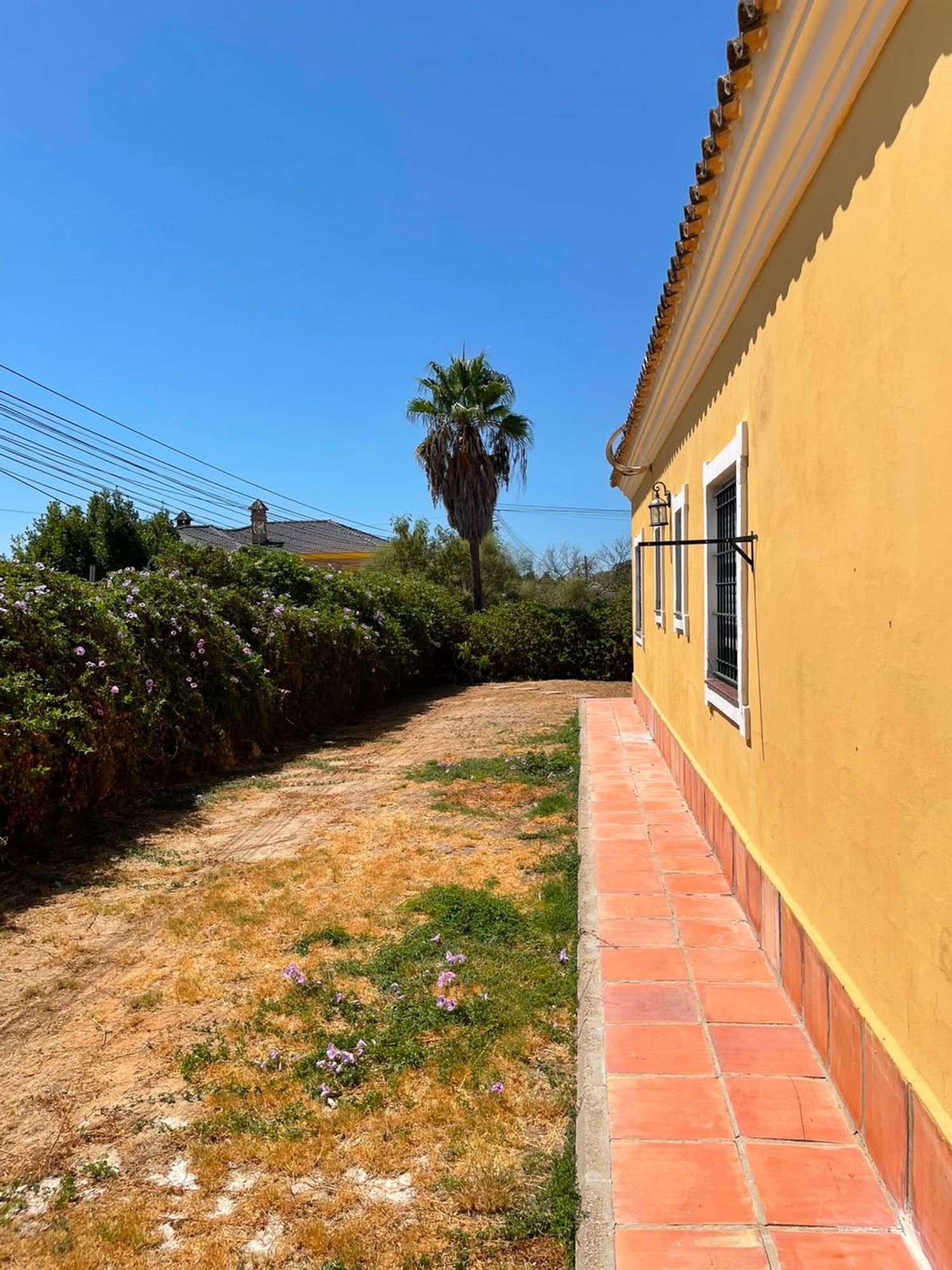 Casa o chalet independiente en Calle Cuatro Pinos, 11, Cuatro Pinos-El Carmen - Foto 16