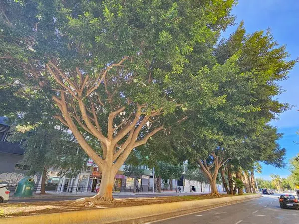 Ático en Avenida del Obispo Angel Herrera Oria, 13 - Foto 35