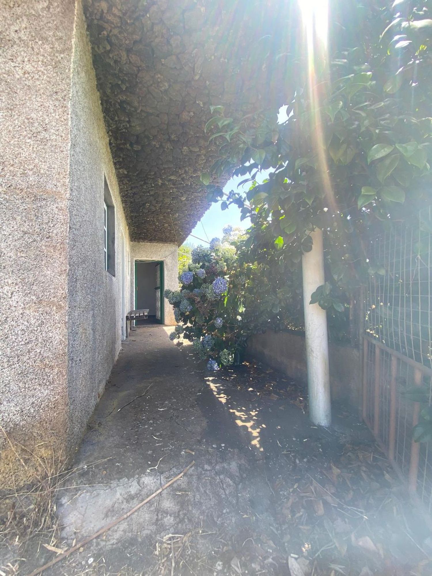 Finca rústica en Calle Mocolon, 59 Poligonoparcela - Foto 25
